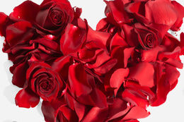 Rose Petals RoseShire